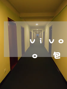 vivo錢包還款失敗逾期怎么辦-vivo錢包還款失敗逾期怎么辦理