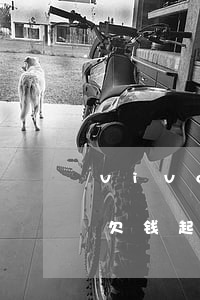 vivo钱包未还款会起诉吗（vivo钱包欠钱起诉）