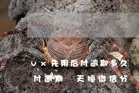vx先用后付逾期多久會影響信用-先用后付逾期幾天掉微信分