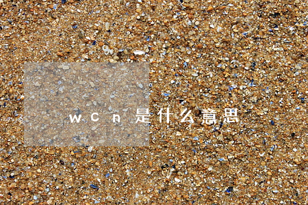 wcn是什么意思