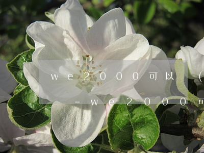we2000可以協(xié)商延期還款嗎-we2000可以協(xié)商延期還款嗎,可以