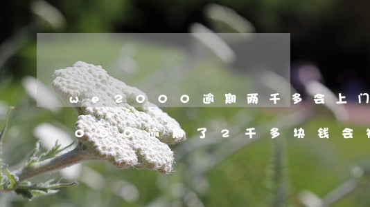 we2000逾期两千多会上门吗-we2000逾期了2千多块钱会被起诉吗