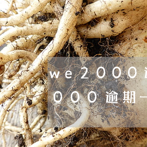 we2000逾期利息一天多少钱-we2000逾期一天有事吗