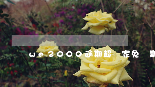 we2000逾期超國家免責期-