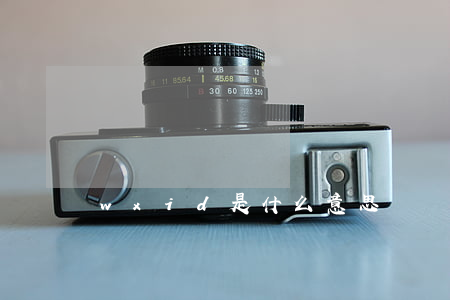 wxid是什么意思