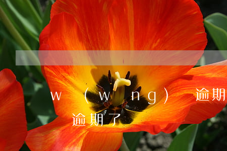 w網(wǎng)貸逾期，我網(wǎng)貸逾期了