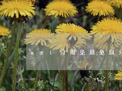 xel分期免息(免息分期汽車)
