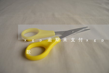 xgp逾期未支付(xgpu無法處理您的付款)