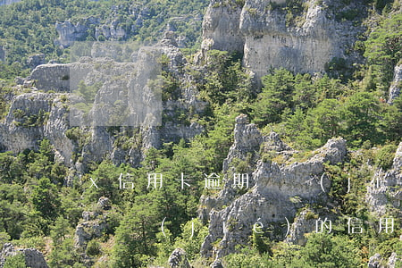 x信用卡逾期凍結(jié)了怎么還(逾期凍結(jié)的信用卡怎么解凍)