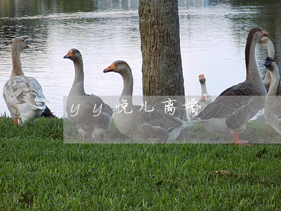 yy悦儿离婚