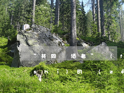 “共同飲酒者”發(fā)生交通事故時(shí)的責(zé)任承擔(dān)有哪些