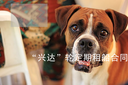 “兴达”轮定期租船合同纠纷案