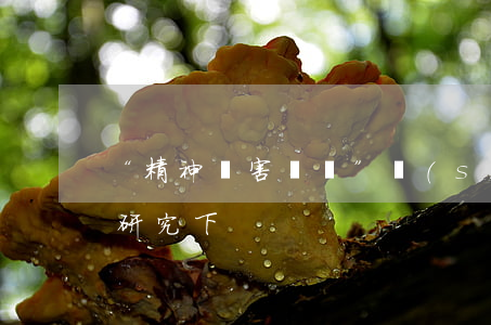 “精神損害賠償”實(shí)務(wù)研究（下）