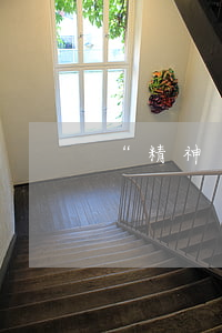 “精神損害賠償”實務(wù)研究（下）