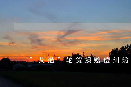 “艾诺”轮货损赔偿纠纷案
