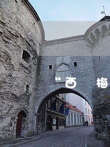 “西麗梅斯”輪滯期費(fèi)糾紛案