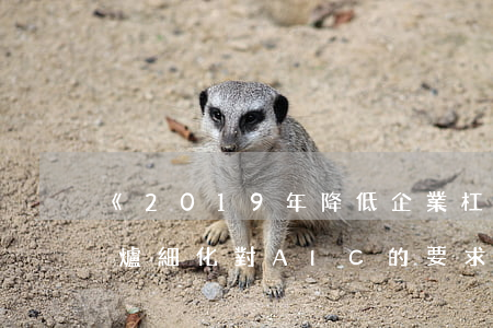 《2019年降低企業杠桿率工作要點》出爐：細化對AIC的要求，強調主力軍作用（附全文+點評）