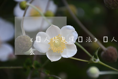 《個人信息保護法》個人信息保護原則是什么