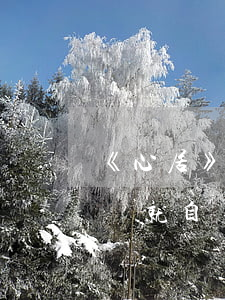 《心居》女主說夫妻分居一段時(shí)間就自動(dòng)離婚了？關(guān)于分居，法律怎么規(guī)定的