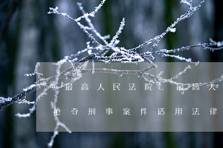 《最高人民法院、最高人民检察院关于办理抢夺刑事案件适用法律若干问题的解释》