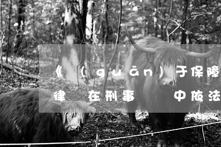 《關(guān)于保障和規(guī)范律師在刑事訴訟中依法執(zhí)業(yè)的暫行辦法》的通知（川檢會(huì)〔2013〕1號(hào)）