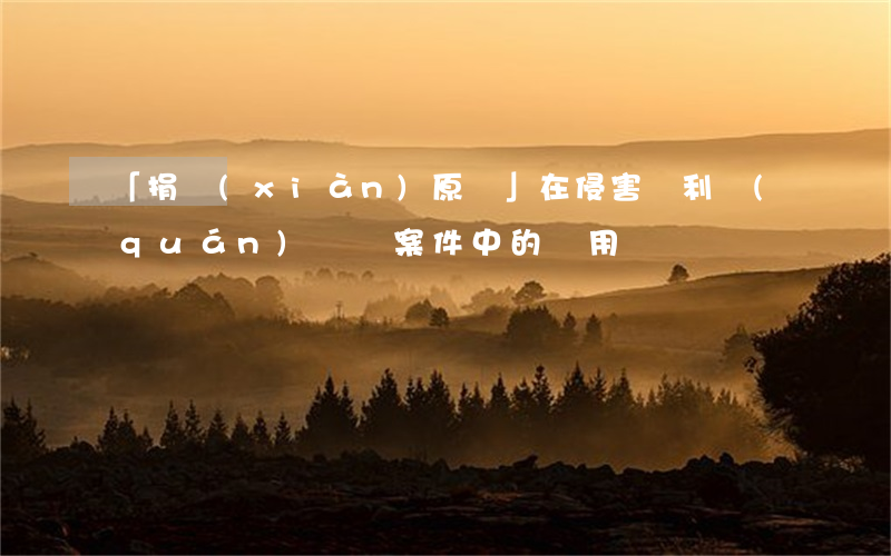 「捐獻(xiàn)原則」在侵害專利權(quán)糾紛案件中的適用