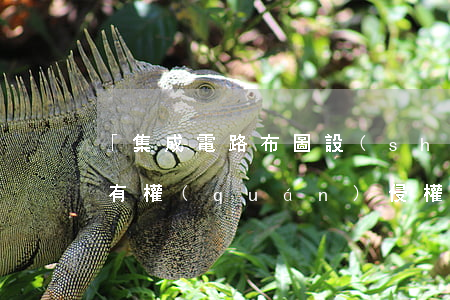 「集成電路布圖設(shè)計(jì)專有權(quán)侵權(quán)案件」常見(jiàn)問(wèn)題剖析！
