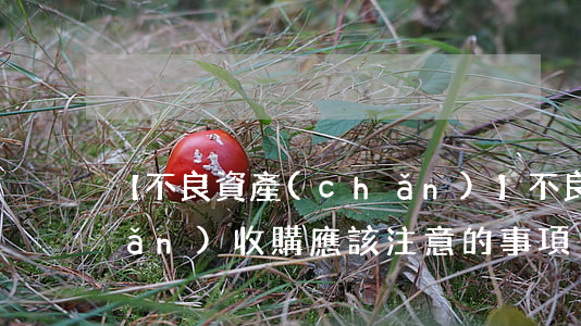【不良資產(chǎn)】不良資產(chǎn)收購應該注意的事項