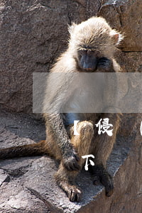 【侵權(quán)與工傷】（第108彈）地下車庫照明不足，老人下車跌進(jìn)窨井