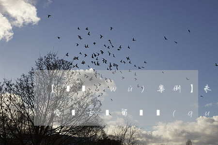【債務(wù)案例】未登記結(jié)婚對方遺留債權(quán)，妻子可否主張丈夫的債權(quán)