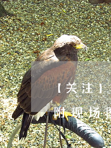 【关注】痛心！巴黎圣母院大火最新后续情况（附现场图和视频）