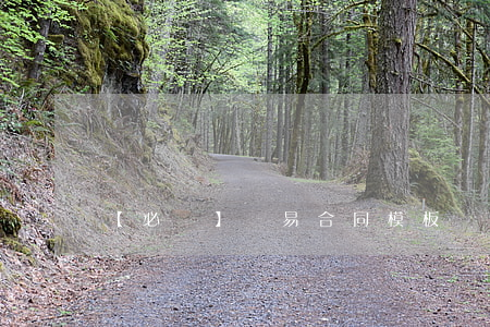 【必備】簡易合同模板匯總5篇