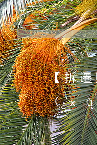 【拆遷賠償】拆遷賠償款如何辦理提存手續(xù)