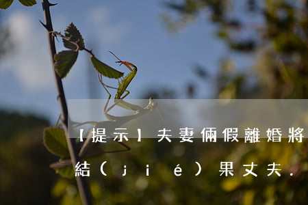 【提示】夫妻倆“假離婚”將9套房過戶給妻子結(jié)果丈夫......