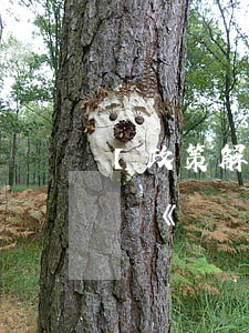 【政策解讀】教育部新聞發(fā)布會解讀《國務院辦公廳關于新時代推進普通高中育人方式改革的指導意見》