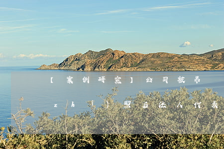 【案例研究】公司被吊銷營業(yè)執(zhí)照后法人代表拒不執(zhí)行裁判構(gòu)成何罪