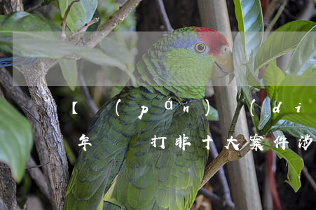 【盤(pán)點(diǎn)】2017年“掃黃打非”十大案件，涉黃案件全部與網(wǎng)絡(luò)有關(guān)！