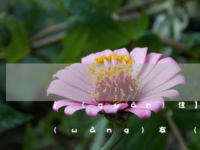 【關(guān)注】孤兒被成人性侵？網(wǎng)友發(fā)現(xiàn)圖不對！最新通報(bào)來了
