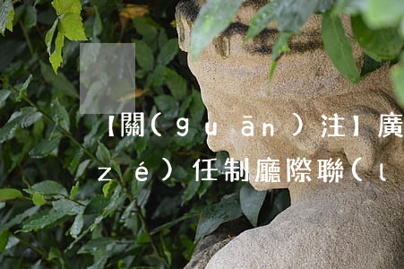 【關(guān)注】廣東省落實普法責(zé)任制廳際聯(lián)席會議成員單位普法責(zé)任清單