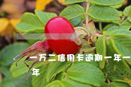 一万二信用卡逾期一年(一千块信用卡逾期三年)