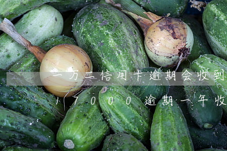一万二信用卡逾期会收到律师函吗-信用卡17000逾期一年 收到律师函