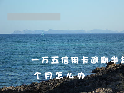 一万五信用卡逾期半年(欠信用卡一万逾期五个月怎么办)