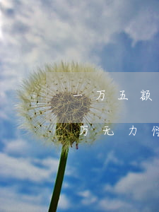 一万五额度的信用卡欠了六万-欠信用卡1万无力偿还怎么办