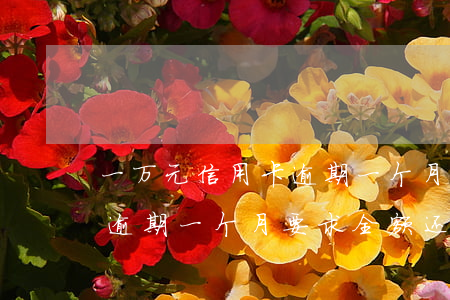 一万元信用卡逾期一个月得还多少钱（信用卡逾期一个月要求全额还）