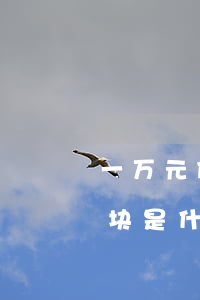 一万元假钞可以取保候审吗(取保候审交一万块是什么回事)