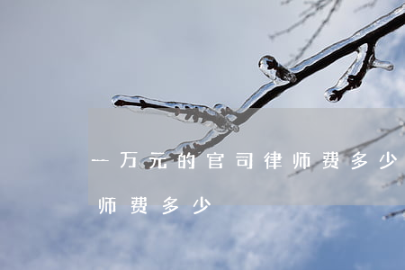 一万元的官司律师费多少(一百多万的官司律师费多少)