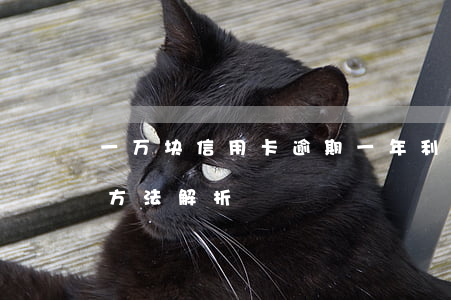 一万块信用卡逾期一年利息多少？精确计算方法解析
