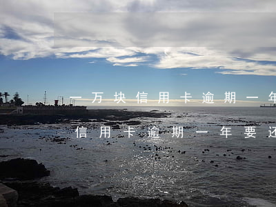 一万块信用卡逾期一年要还多少钱-一万块信用卡逾期一年要还多少钱呢