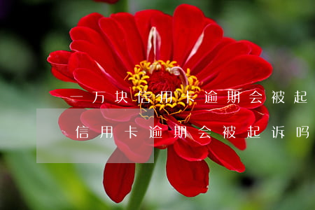 一万块信用卡逾期会被起诉吗贴吧-一万块信用卡逾期会被起诉吗贴吧论坛
