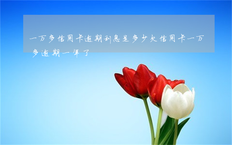 一万多信用卡逾期利息是多少(欠信用卡一万多逾期一年了)
